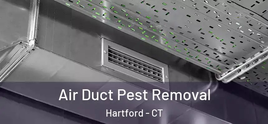 Air Duct Pest Removal Hartford - CT