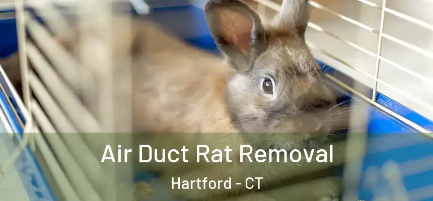 Air Duct Rat Removal Hartford - CT