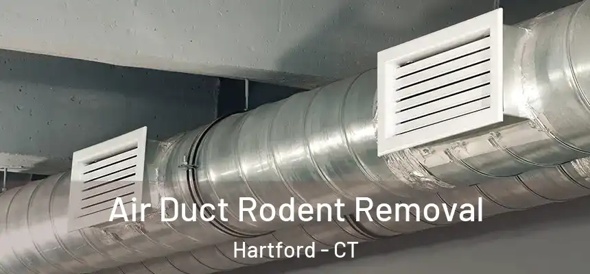 Air Duct Rodent Removal Hartford - CT