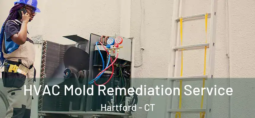 HVAC Mold Remediation Service Hartford - CT