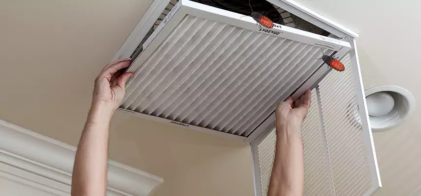 Preventive Cockroach-Proofing for Ducts in Hartford