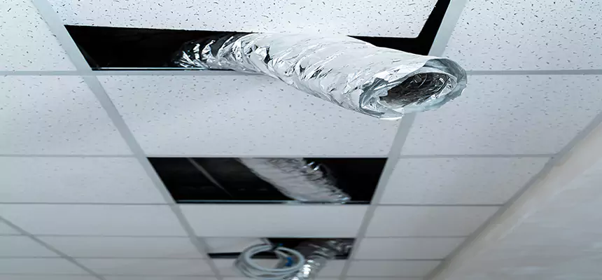 Our Air Duct Pet Hair Removal Services in Hartford, CT