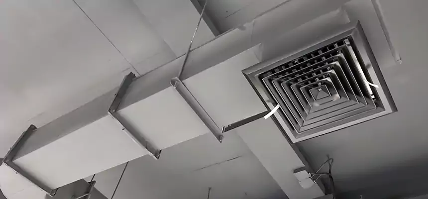 Our Pest Removal From Ducts Services in Hartford, CT