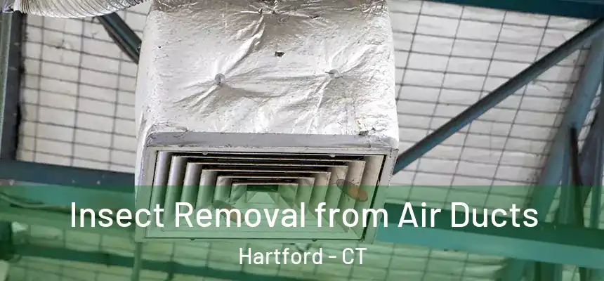 Insect Removal from Air Ducts Hartford - CT