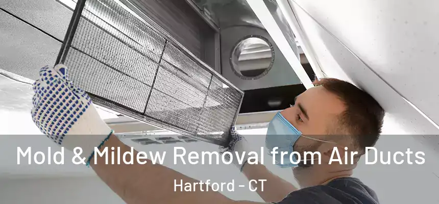 Mold & Mildew Removal from Air Ducts Hartford - CT