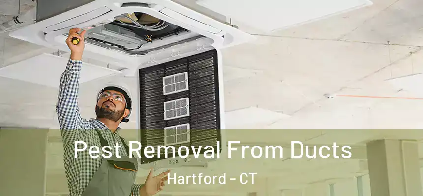 Pest Removal From Ducts Hartford - CT