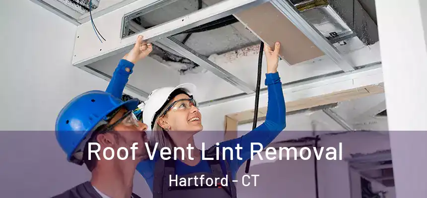 Roof Vent Lint Removal Hartford - CT