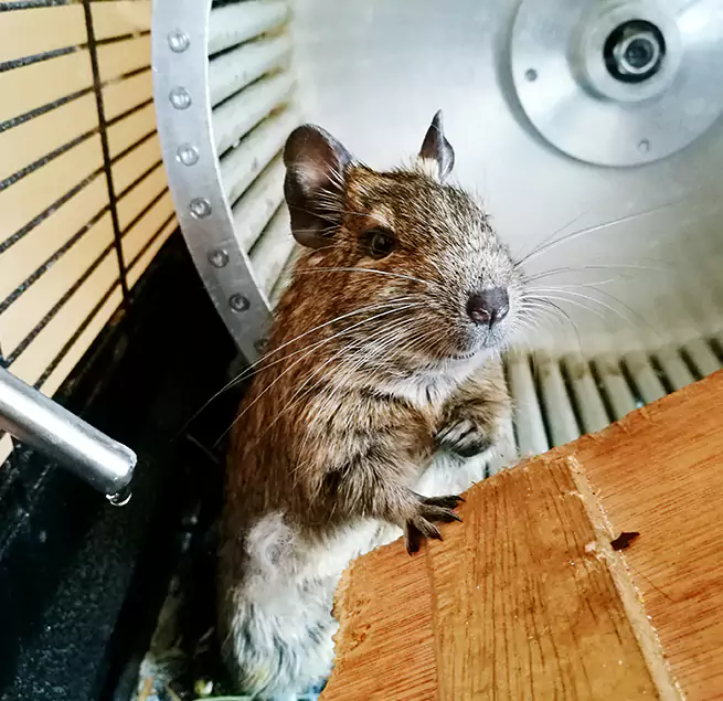 Why Homeowners & Businesses Trust Us Hartford, CT